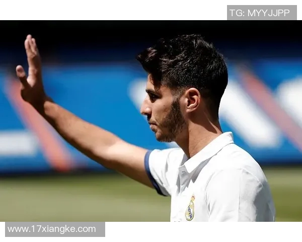 足球明星马尔科的传奇之路与辉煌成就揭秘